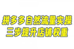 自然流量开拼多多店铺运营可以吗?拼多 自然流量开拼多多店铺运营可以吗?拼多