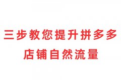 拼多多店铺流量怎么推？拼多多店铺怎么